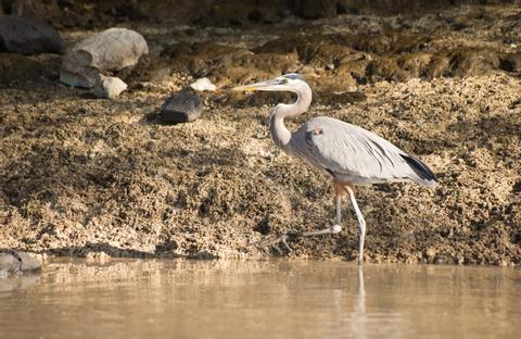 Palo Verde Boat Expedition & Cultural Tour